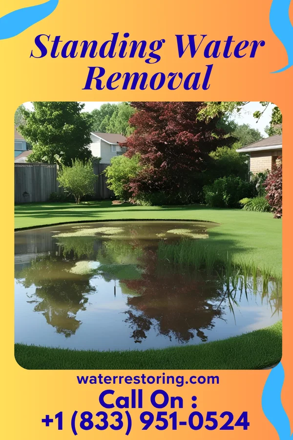 Standing Water Removal in Gates Mills, OH